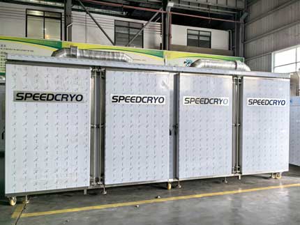 liquid nitrogen freezer
