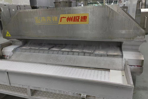 liquid nitrogen tunnel freezer frozen fish fillet