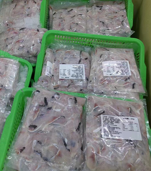 frozen fish fillets