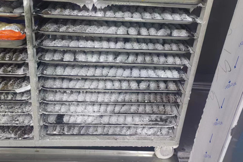 Frozen sea cucumber in Cabinet-Type Liquid Nitrogen Freezer 