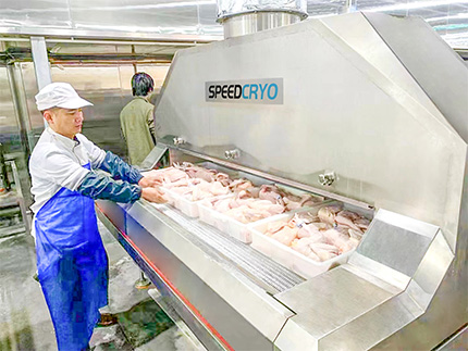 liquid nitrogen freezer frozen chicken