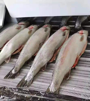 liquid nitrogen freezer frozen salmon