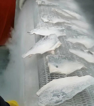 liquid nitrogen freezer frozen fish