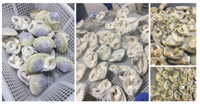 frozen seafood