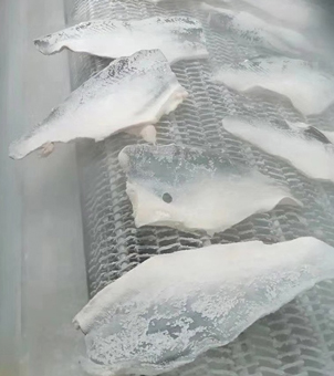 liquid nitrogen freezer frozen fish