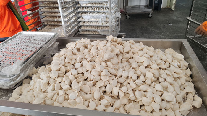liquid nitrogen freezers frozen dumpling