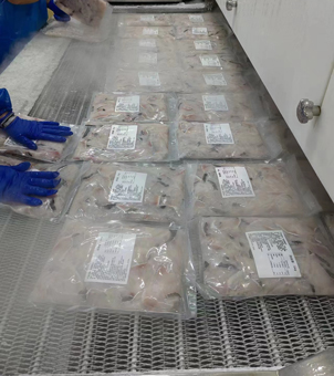 liquid nitrogen tunnel freezer