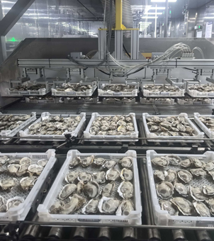 liquid nitrogen tunnel freezer