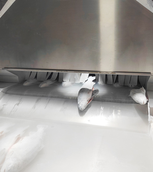 liquid nitrogen tunnel freezer