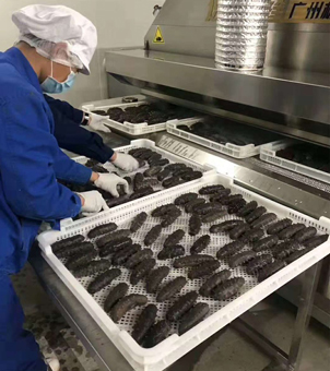 Liquid Nitrogen Rapid Freezing Equipment