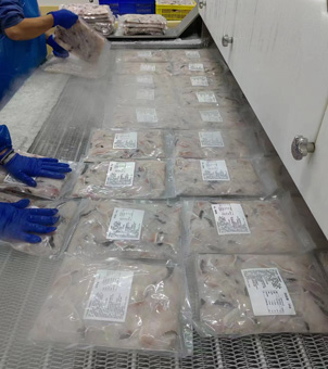 Liquid nitrogen freezer frozen fillet