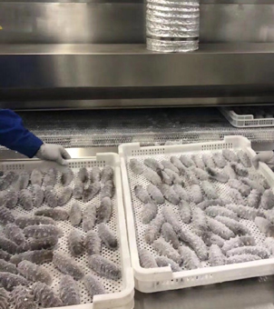 Liquid nitrogen freezer for freezing sea cucumbers