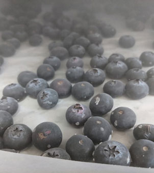 Liquid nitrogen quick-freezing machine for freezing blueberries