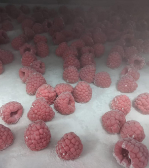 Liquid nitrogen freezing freezer for freezing raspberry