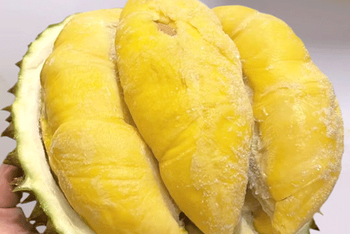 Liquid Nitrogen Freezer Frozen Durian
