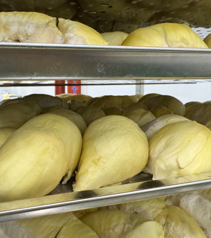 Liquid Nitrogen Freezer Frozen Durian