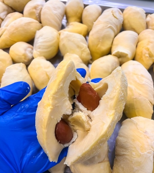 liquid nitrogen freezer frozen durian