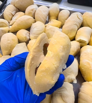 liquid nitrogen freezer frozen durian
