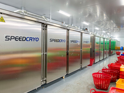 liquid nitrogen freezer frozen durian