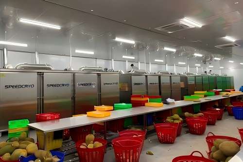 Liquid Nitrogen Freezer