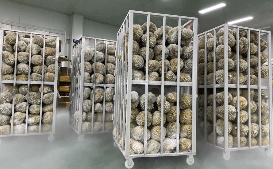 Durian Cart