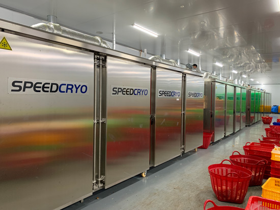 Liquid Nitrogen Freezer Frozen Durian