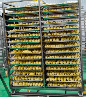 liquid nitrogen freezer frozen durian