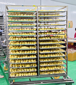 liquid nitrogen freezer frozen durian