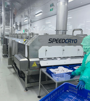 Liquid Nitrogen Tunnel Freezer