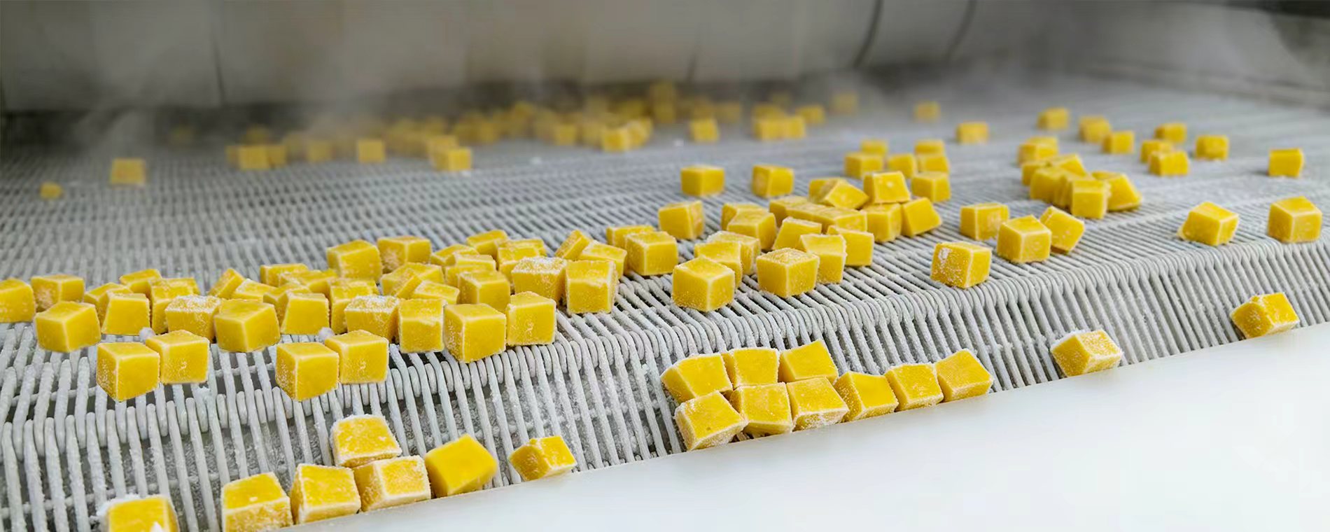 JUICE POURING - RAPID SETTING - DEMOLDING - QUICK FREEZING