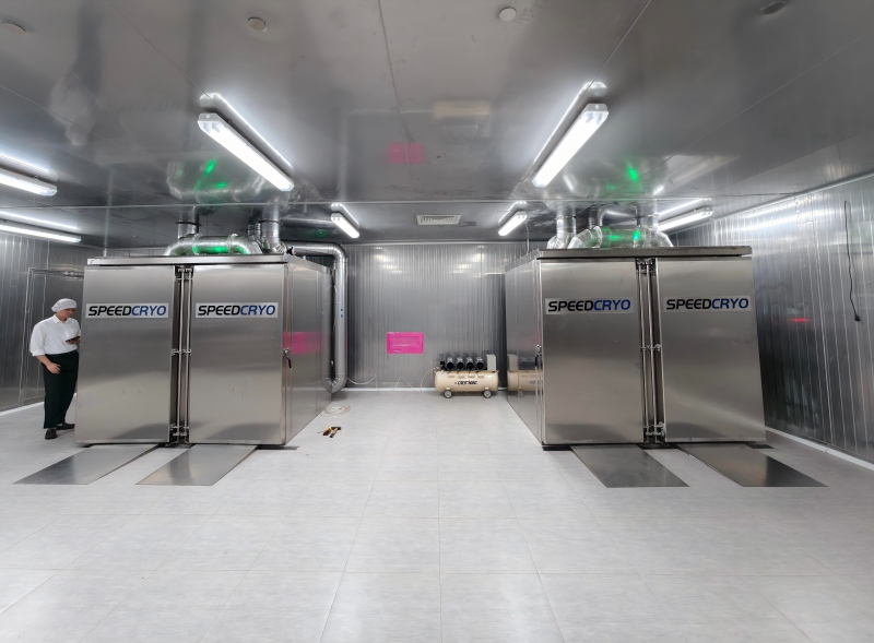 The Energy Revolution of Liquid Nitrogen Freezers: How Less Than 50 kWh per Day Is Challenging Industry Assumptions  In the food processing industry, energy consumption typically accounts for a signif