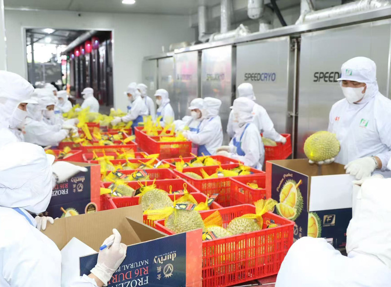 Liquid Nitrogen Freezing Cabinet: How Flexible Batch Processing Meets the Seasonal Capacity Needs of Durian Processing