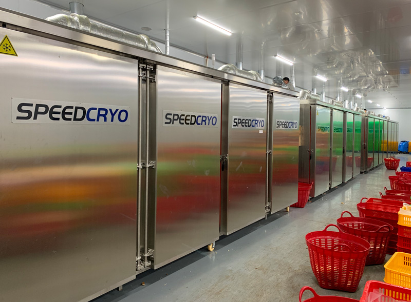 Liquid Nitrogen Frozen Durian — Why -196°C Cryogenic Freezing Is the Ultimate Key to Preserving the “King of Fruits”