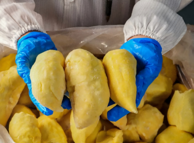 The Secret to Preserving Durian’s Aroma: How Liquid Nitrogen Freezing Cabinets Lock in Volatile Sulfur Compounds