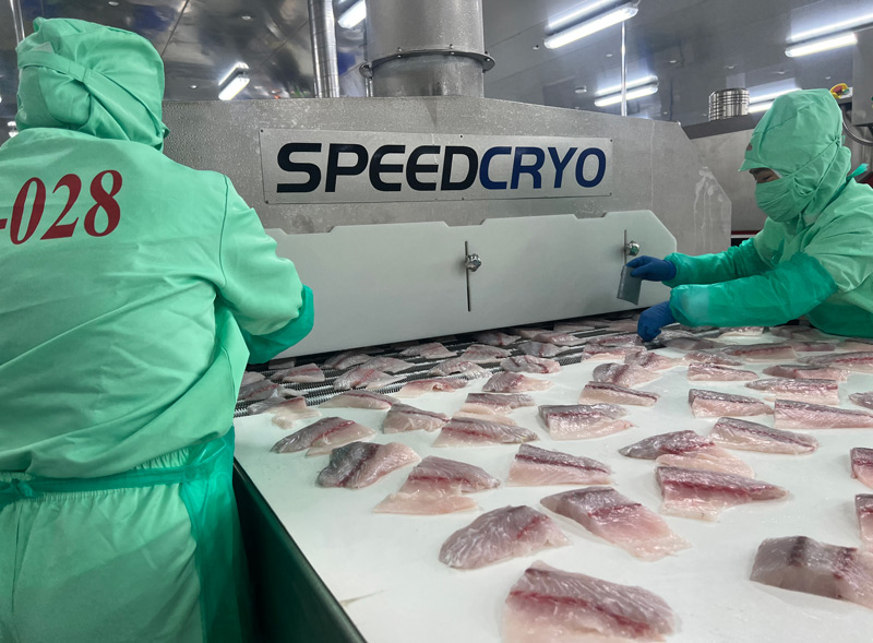 Liquid Nitrogen Tunnel Freezer for Sea Bass | Faster Freezing & Less Drip Loss